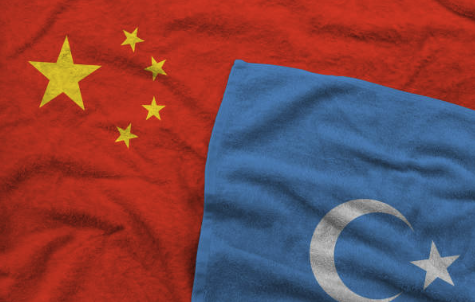 Uyghur Flag